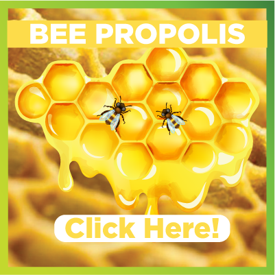 Benefits of Bee Propolis