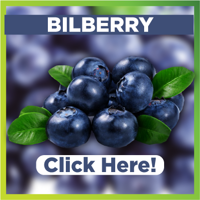 Benefits of Bilberry