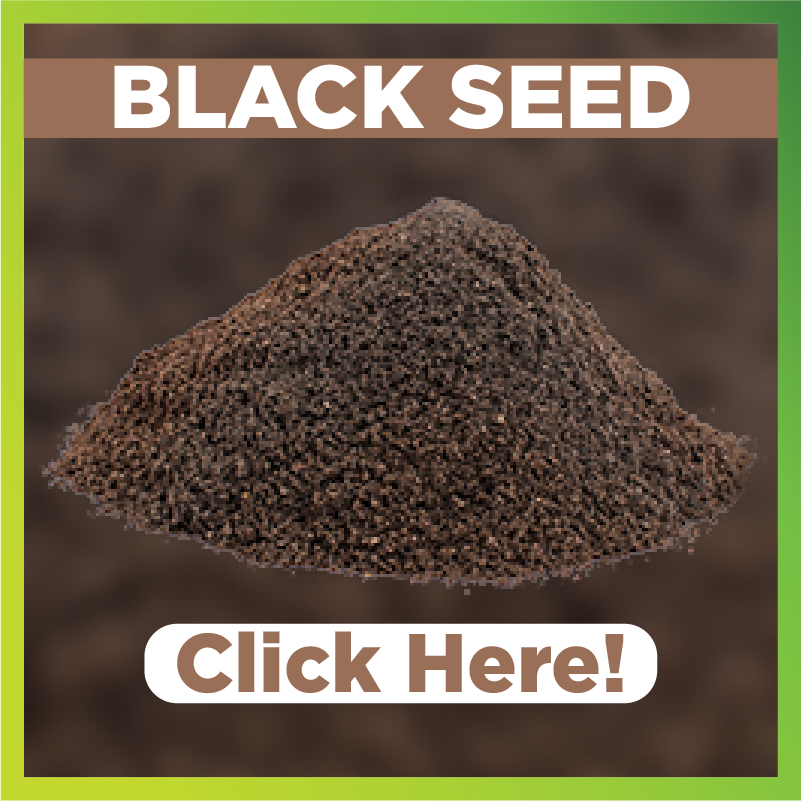 Benefits of Black Seed