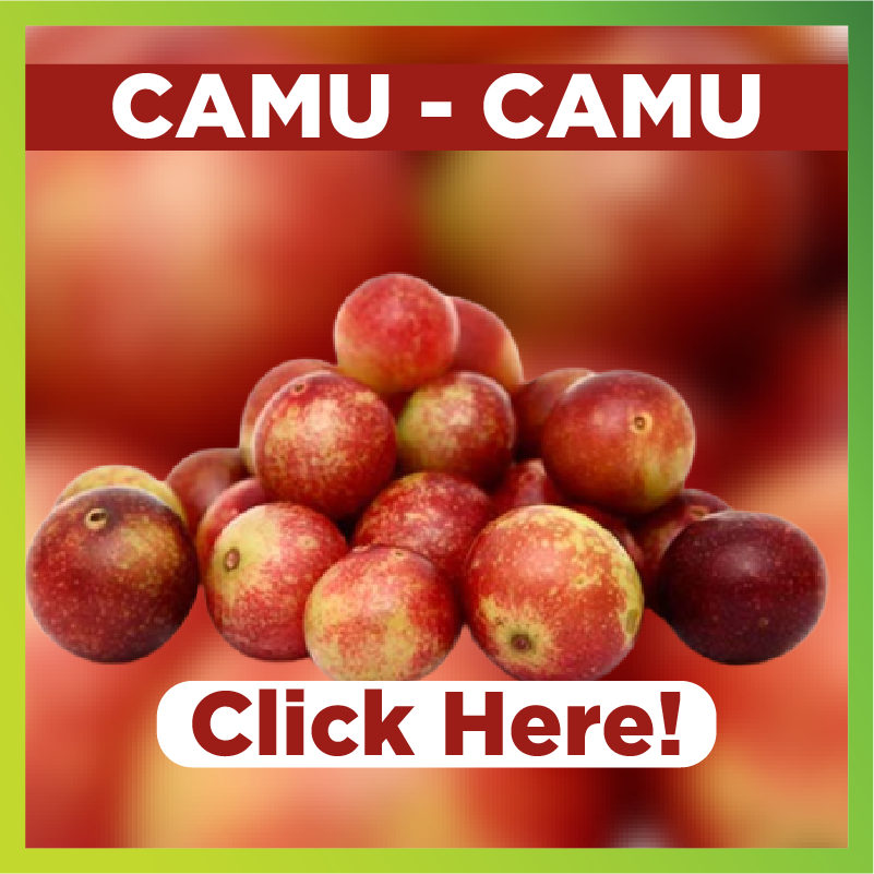 Benefits of Camu - Camu