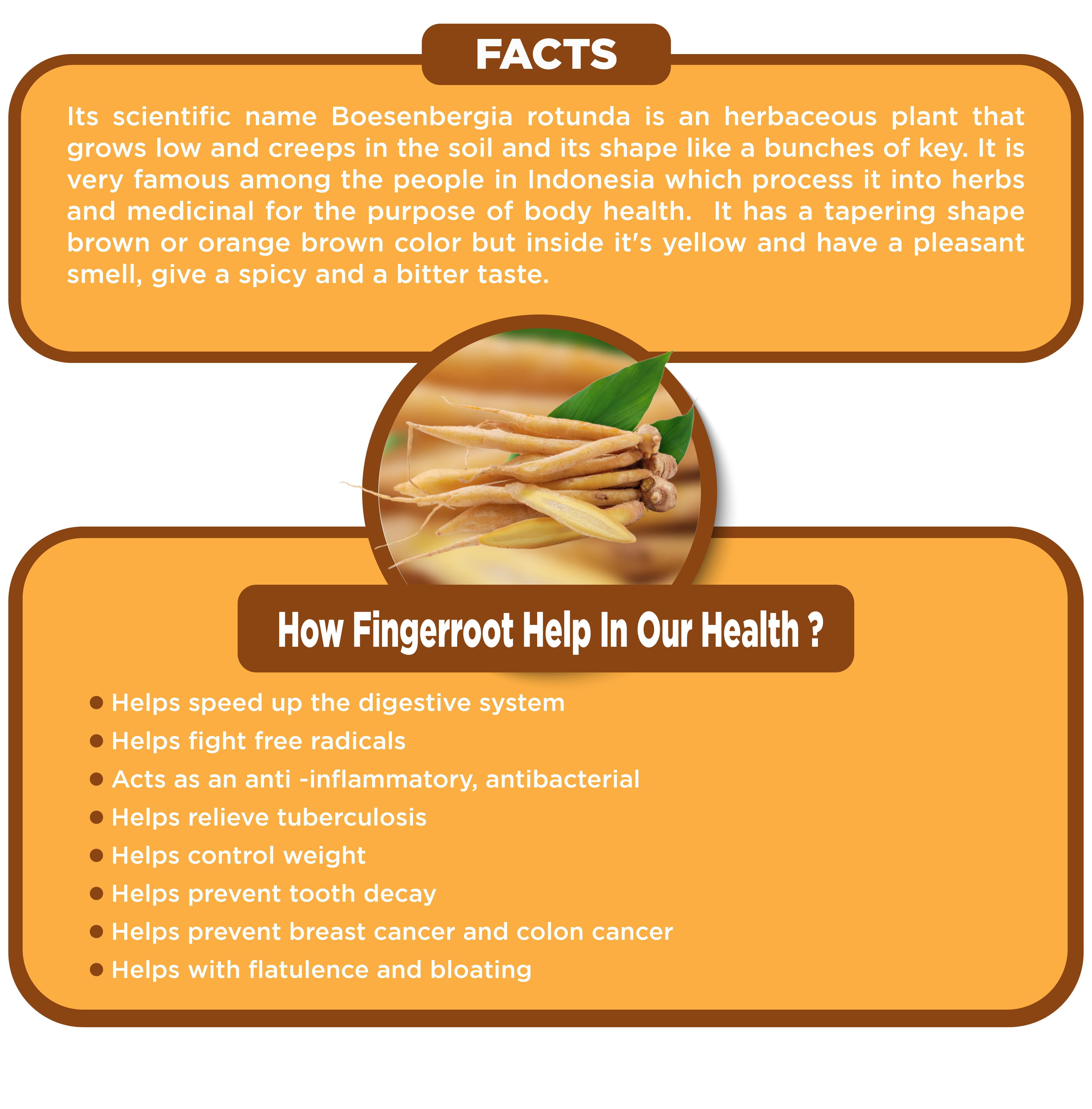 Benefits of Fingerroot