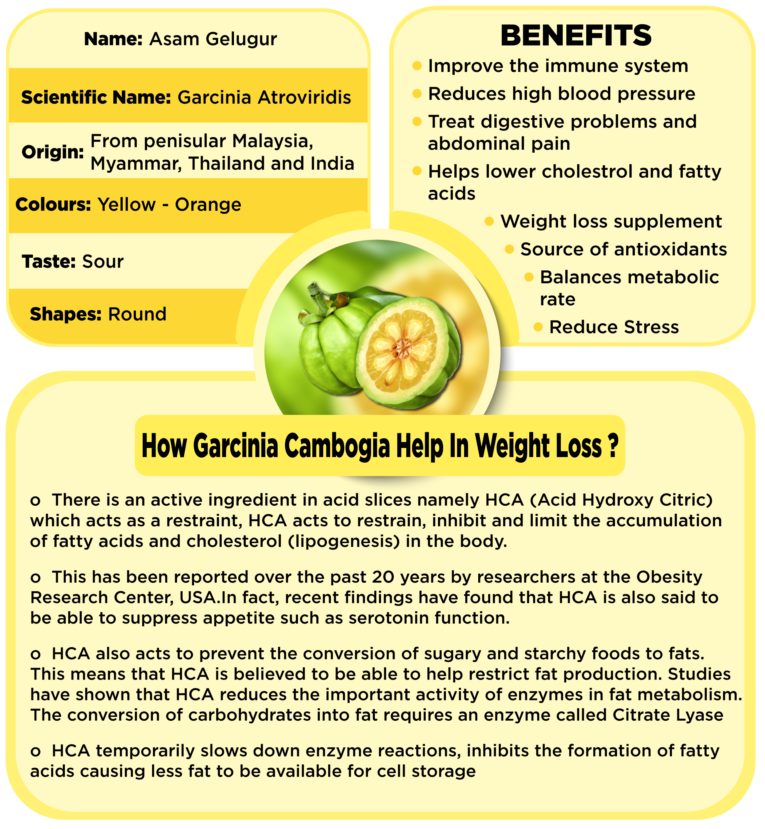 Benefits of Bee Garcinia Cambogia