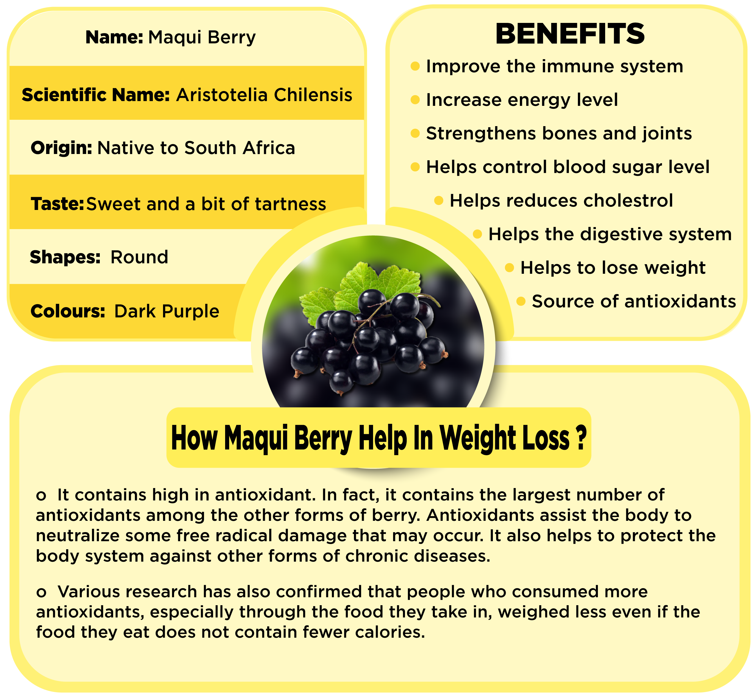 Benefits of Maqui Berry