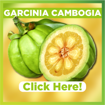 Benefits of Bee Garcinia Cambogia