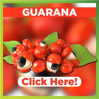 Benefits of Guarana
