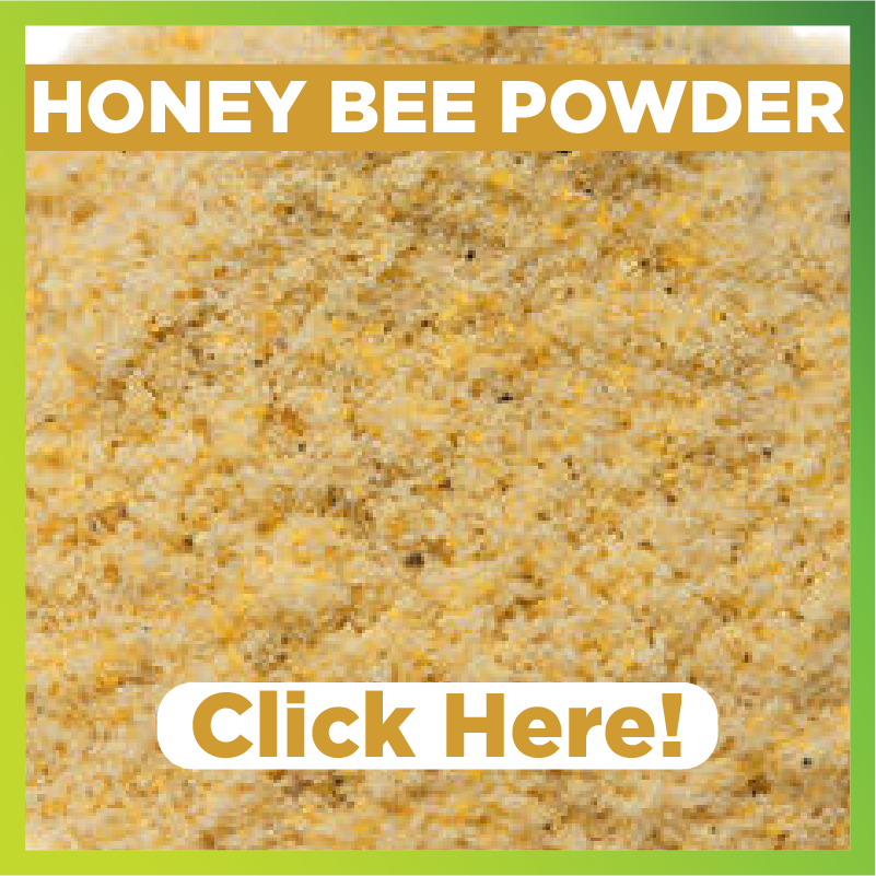 Benefits of Honey Bee Powder
