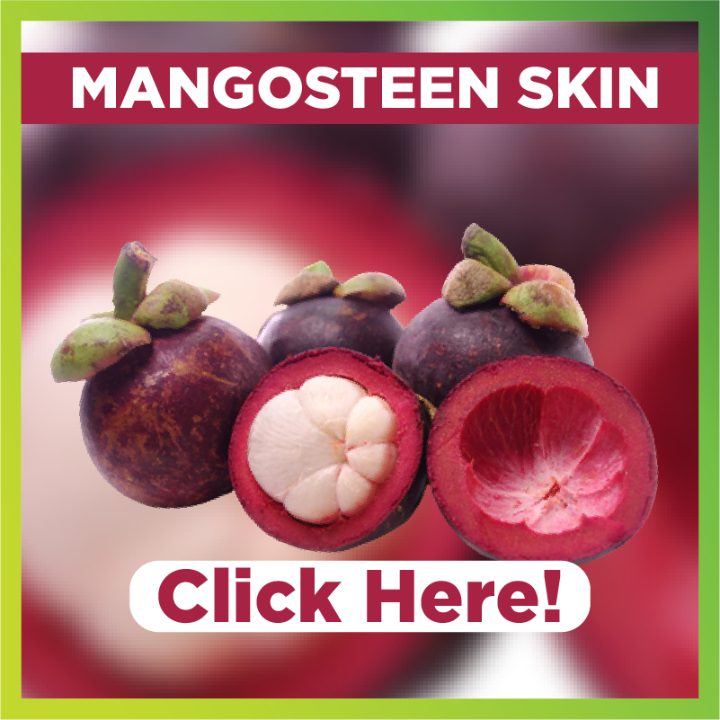 Benefits of Mangosteen Skin Extract