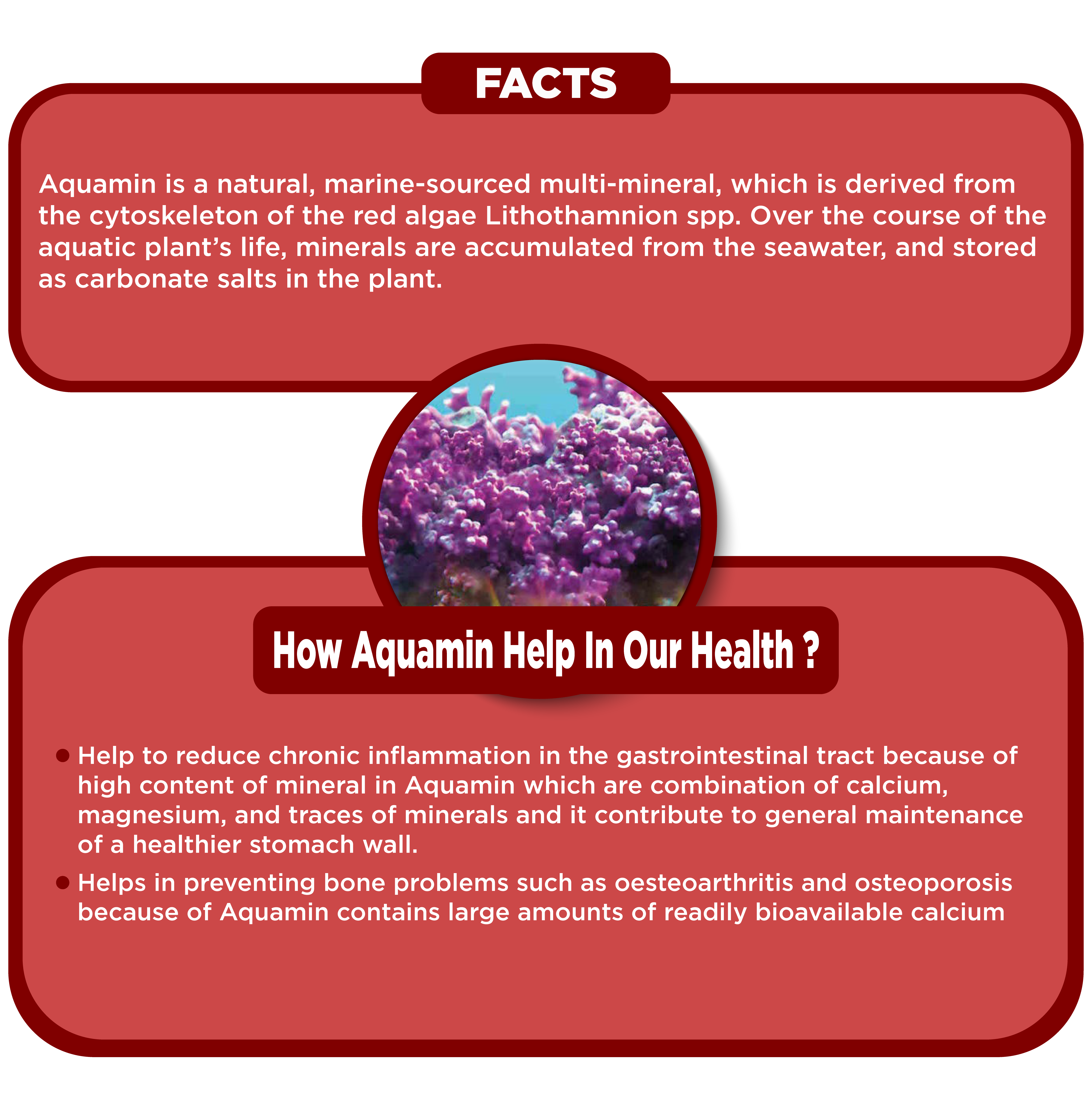 Benefits of Aquamin