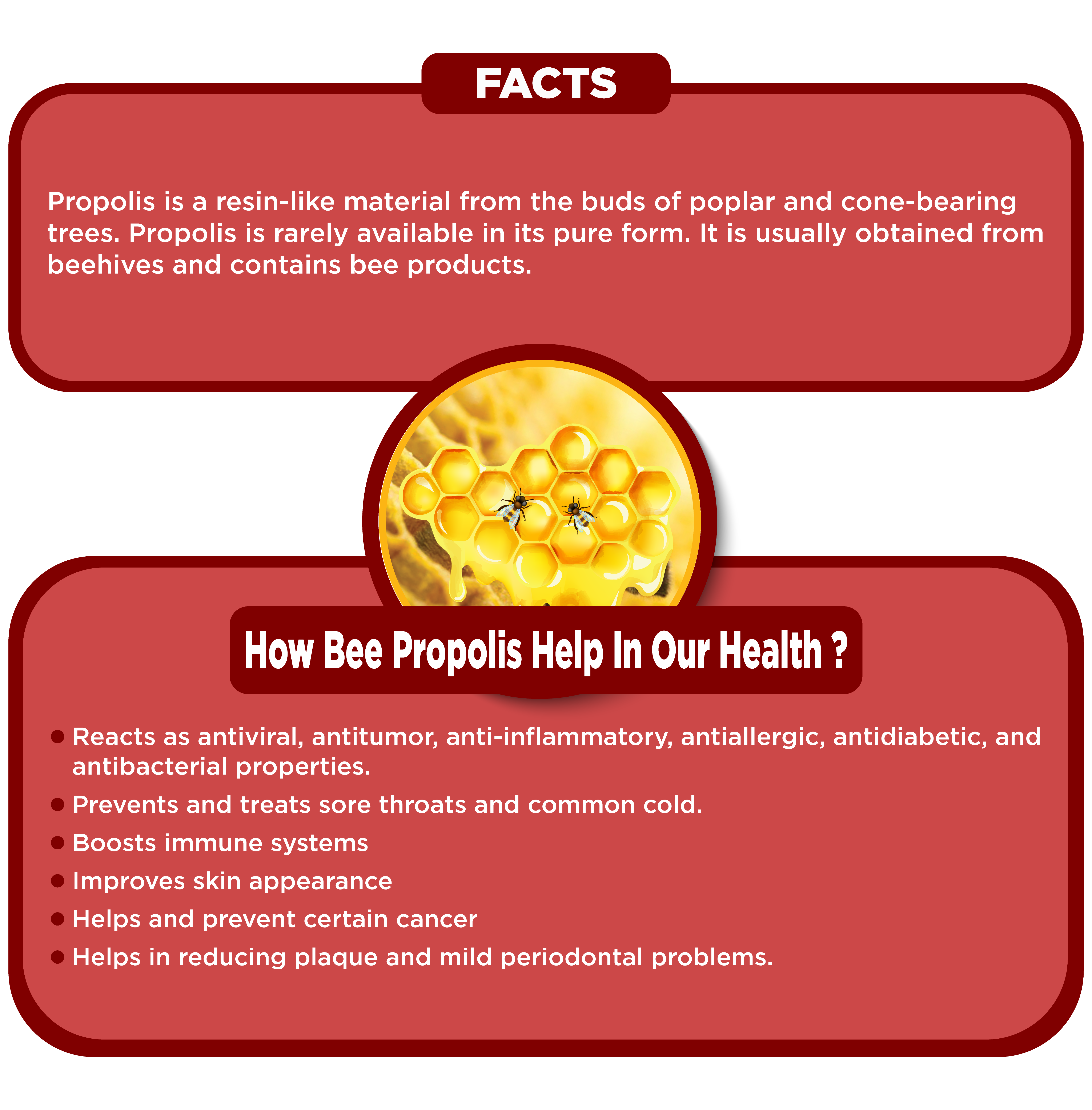 Benefits of Bee Propolis