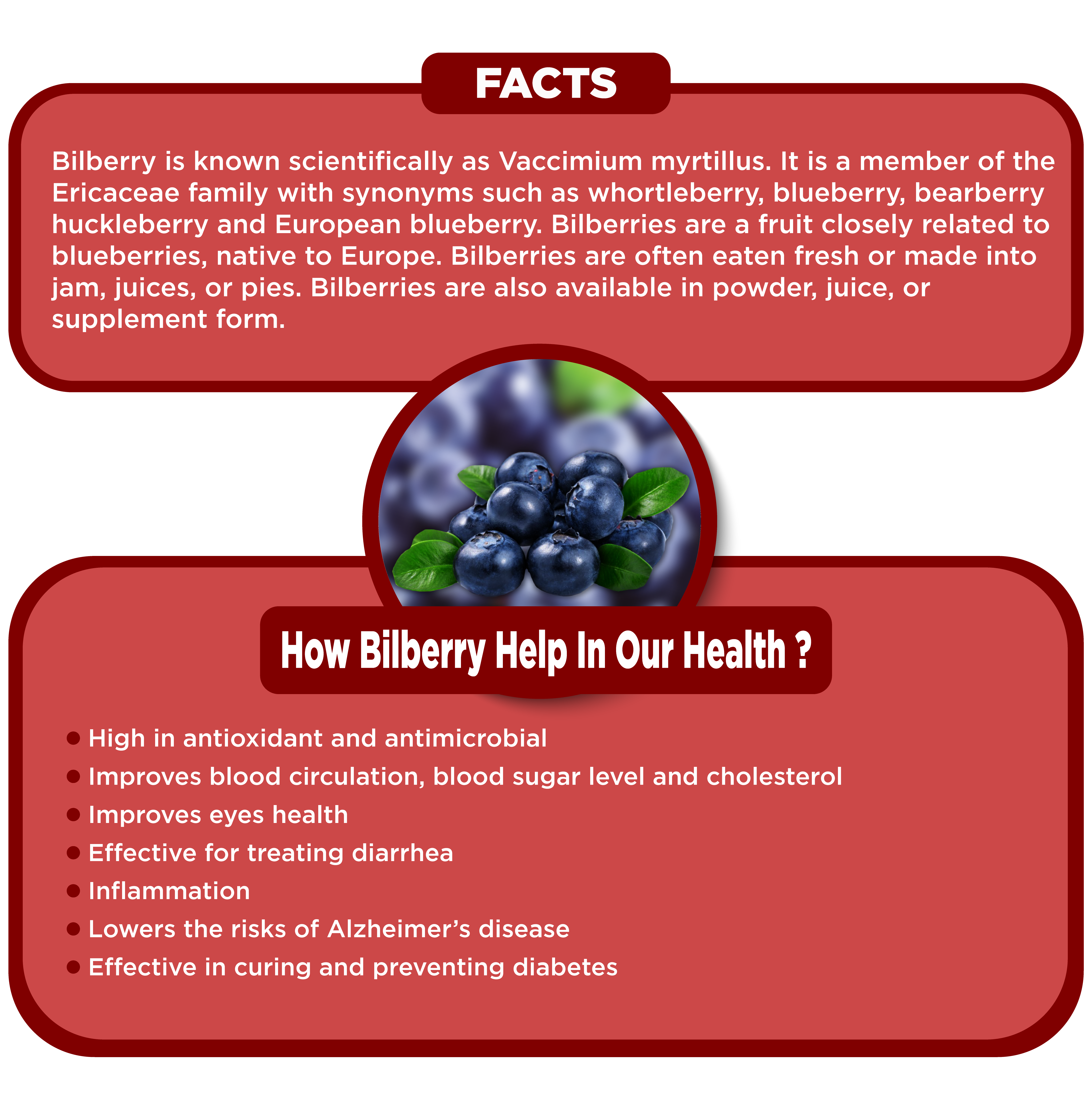 Benefits of Bilberry