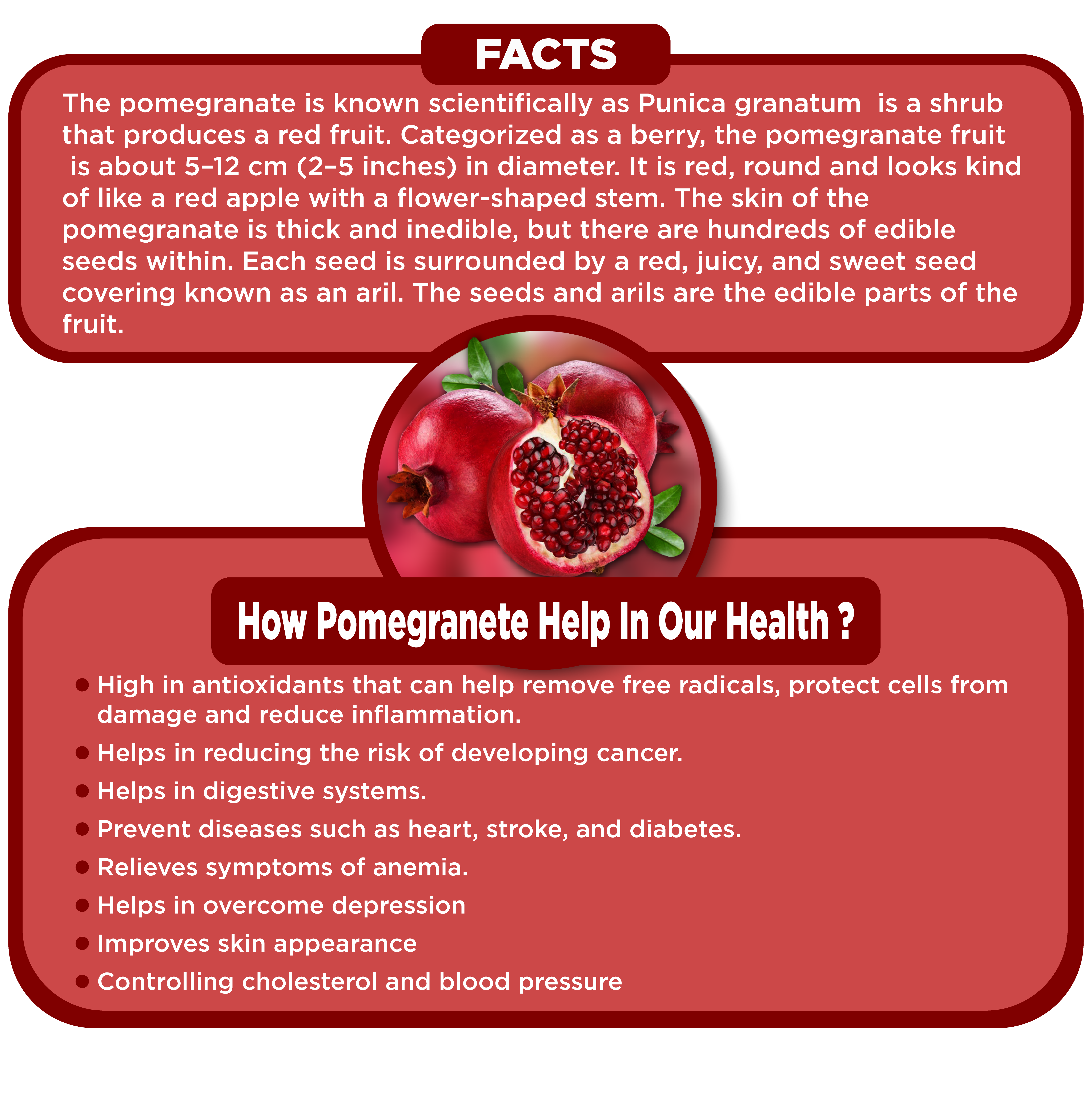 Benefits of Pomegrante