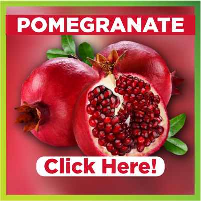 Benefits of Pomegrante